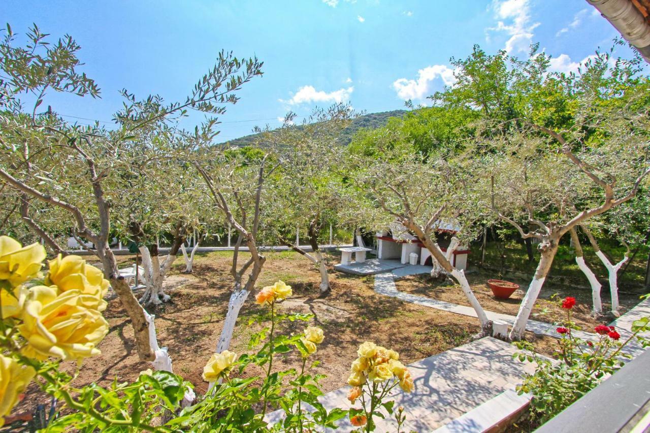 The House Of Olive Trees Villa Nea Iraklitsa Екстериор снимка